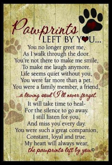 Pet loss poems